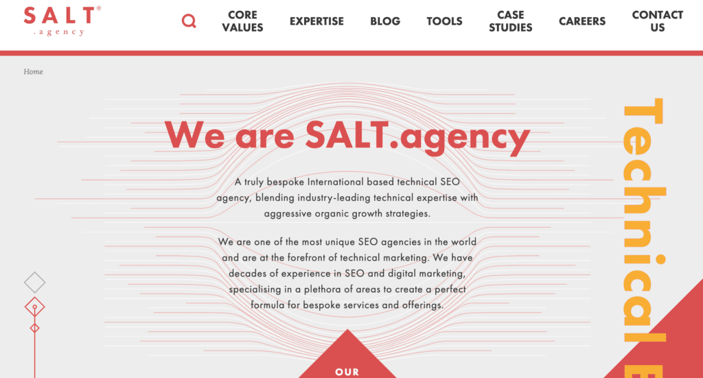 Salt Agency Homepage